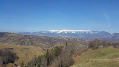 20170322 094518-788x445