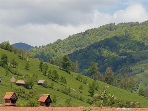 20170521 114443-750x563